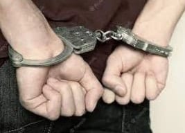 Criminal Litigation